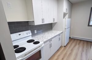 Modern Kitchen Design by Emcab Kitchens